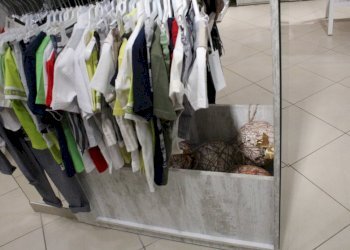 Foto 1 - Commercial Activity Montesilvano - photo 1