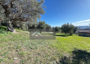 Foto 35 - Casa indipendente Via cascioni
 
4, Sant'Omero - foto 35