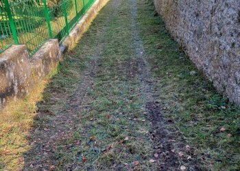 Giardino - Terreno edificabile valbrona, Valbrona - foto 7