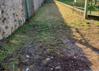 Giardino - Terreno edificabile valbrona, Valbrona - foto 10