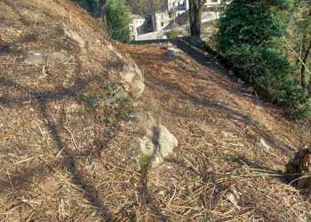 Giardino - Terreno edificabile valbrona, Valbrona - foto 11