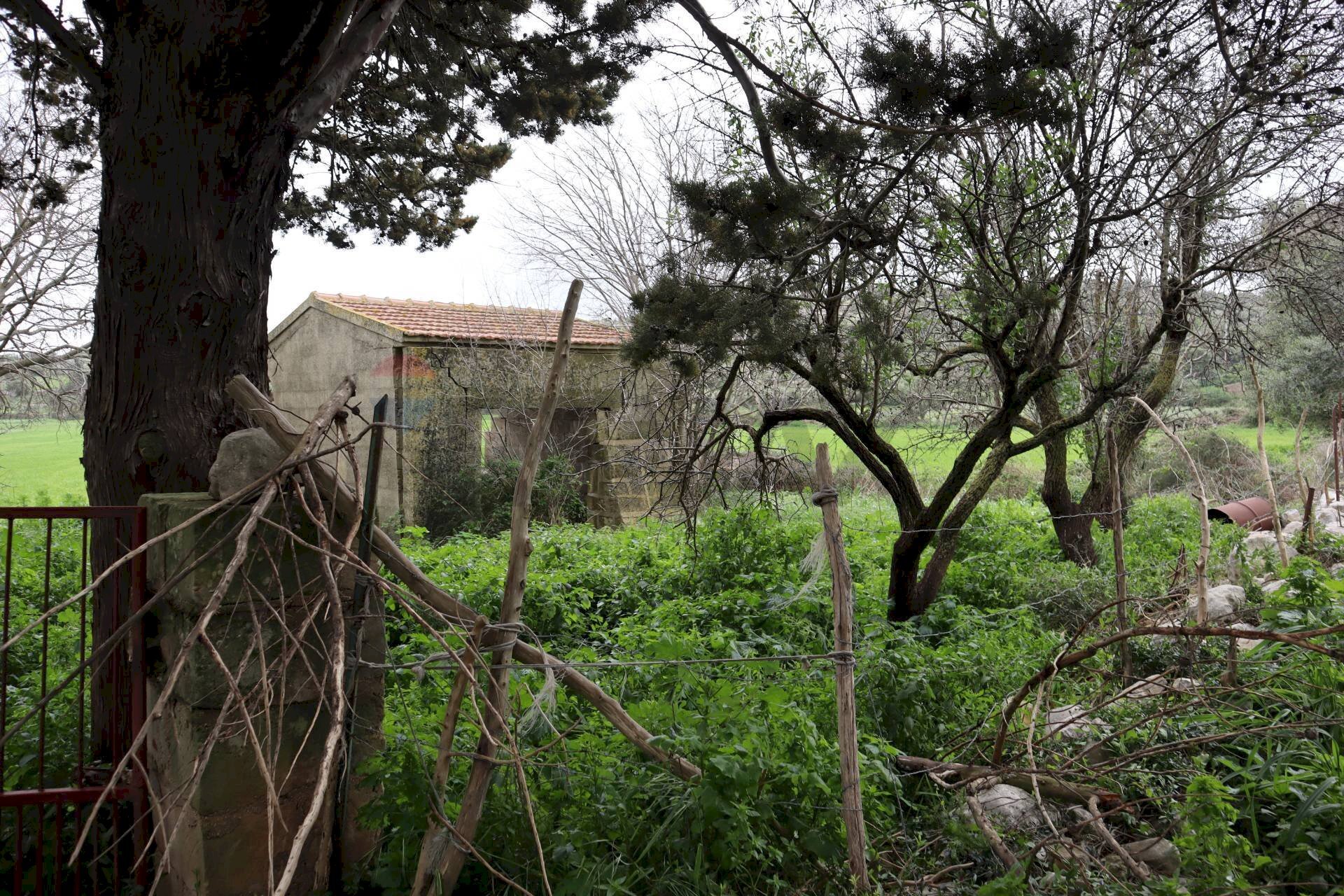 Giardino - Rustico C.da Galerme
snc, Ragusa - foto 3