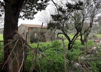 Giardino - Rustico C.da Galerme
 
snc, Ragusa - foto 3