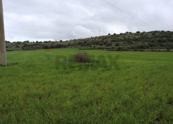 Giardino - Rustico C.da Galerme
 
snc, Ragusa - foto 12