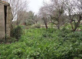 Giardino - Rustico C.da Galerme
 
snc, Ragusa - foto 27