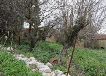 Giardino - Rustico C.da Galerme
 
snc, Ragusa - foto 29