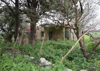 Giardino - Rustico C.da Galerme
 
snc, Ragusa - foto 31