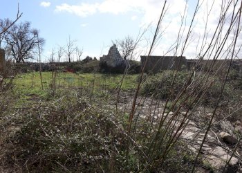 Giardino - Rustico C.da Scorsonara
 
snc, Ragusa - foto 13