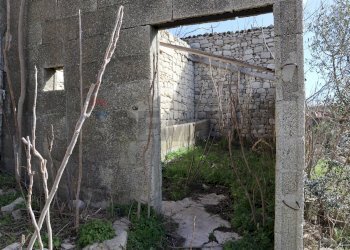 Giardino - Rustico C.da Scorsonara
 
snc, Ragusa - foto 18