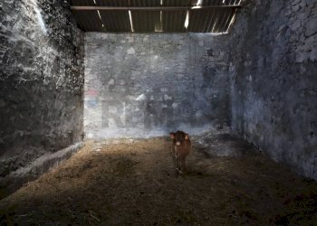 Stanza vuota - Rustico C.da Scorsonara
 
snc, Ragusa - foto 23