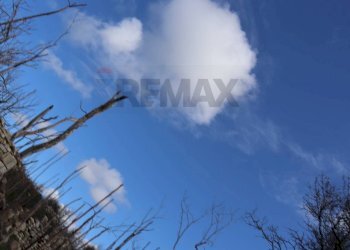 Vista delle montagne - Rustico C.da Scorsonara
 
snc, Ragusa - foto 26