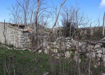 Vista delle montagne - Rustico C.da Scorsonara
 
snc, Ragusa - foto 30