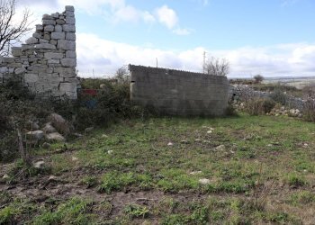 Giardino - Rustico C.da Scorsonara
 
snc, Ragusa - foto 32