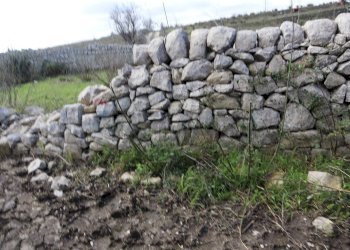 Giardino - Rustico C.da Scorsonara
 
snc, Ragusa - foto 36