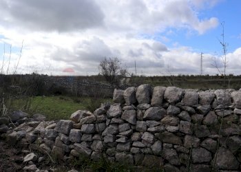 Giardino - Rustico C.da Scorsonara
 
snc, Ragusa - foto 37