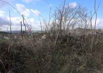 Vista delle montagne - Rustico C.da Scorsonara
 
snc, Ragusa - foto 46