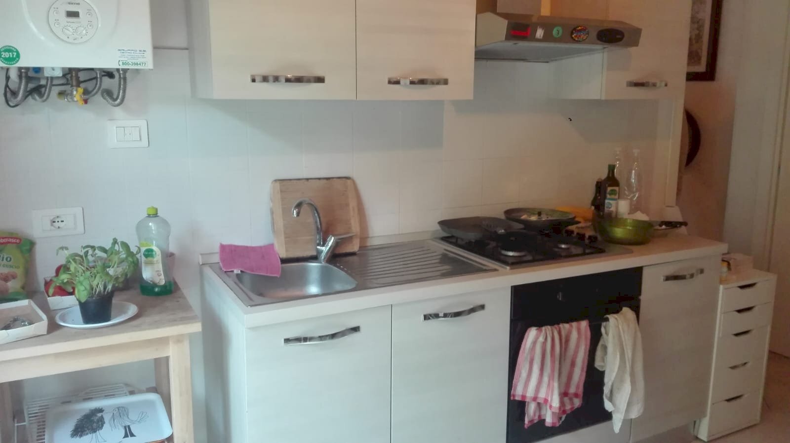 Foto 3 - Terreno non edificabile Via Del Borghetto
 
12, Pisa - foto 3