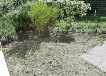 Foto 12 - Casa indipendente Via Del Borghetto
 
12, Pisa - foto 12