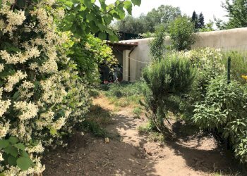 Foto 5 - Terreno non edificabile via del borghetto
 
12, Pisa - foto 5