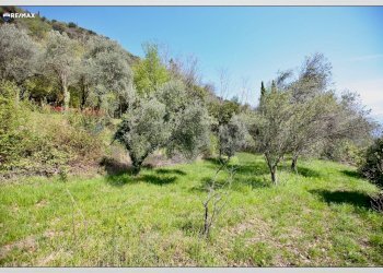 Giardino - Building land Toscolano-Maderno - photo 23