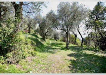 Giardino - Building land Toscolano-Maderno - photo 25