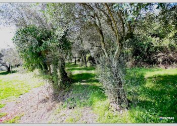 Giardino - Building land Toscolano-Maderno - photo 26