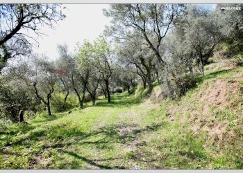 Giardino - Building land Toscolano-Maderno - photo 27