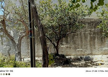 Edificio all\'aperto - Villa via Dei Templi Triscina
 
174, Castelvetrano - foto 9