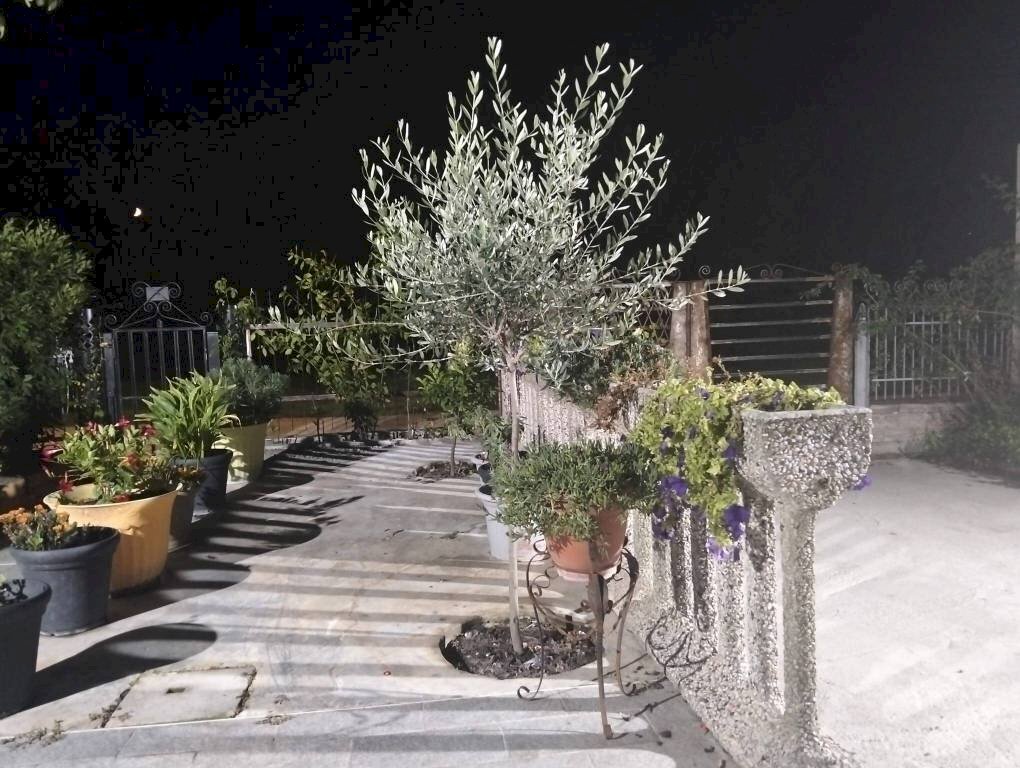 Giardino - Independent house via delle Valli, Mirandola - photo 2