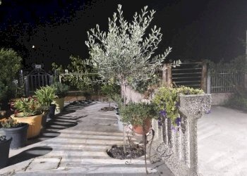 Giardino - Casa indipendente via delle Valli, Mirandola - foto 1