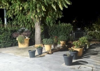 Giardino - Casa indipendente via delle Valli, Mirandola - foto 2