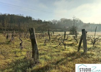 Foto 13 - Rustico rimembranze
 
22, Attigliano - foto 13