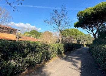 Foto 44 - Bilocale STRADA PROVINCIALE 62 DELLE ROCCHETTE, Castiglione della Pescaia - foto 44