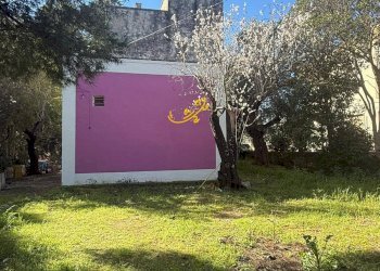 Foto 4 - Rustic Strada Comunale Foggiali, Castellana Grotte - photo 4