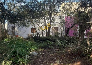 Foto 5 - Rustic Strada Comunale Foggiali, Castellana Grotte - photo 5