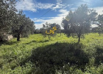 Foto 12 - Rustic Strada Comunale Foggiali, Castellana Grotte - photo 12