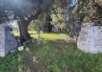 Foto 13 - Rustic Strada Comunale Foggiali, Castellana Grotte - photo 13