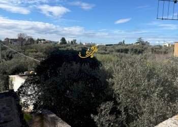 Foto 14 - Rustic Strada Comunale Foggiali, Castellana Grotte - photo 14