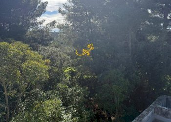 Foto 15 - Rustic Strada Comunale Foggiali, Castellana Grotte - photo 15