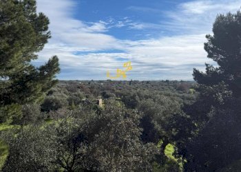 Foto 16 - Rustic Strada Comunale Foggiali, Castellana Grotte - photo 16