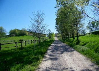 Zona - Rustico via Oriassolo, Arignano - foto 19