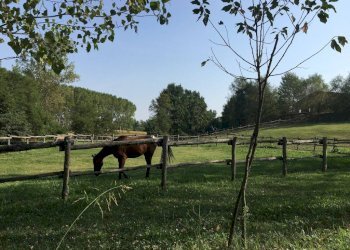 Zona - Rustico via Oriassolo, Arignano - foto 20