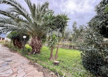 Foto 3 - Terreno agricolo Via Ponticelli
 
snc, Carini - foto 3