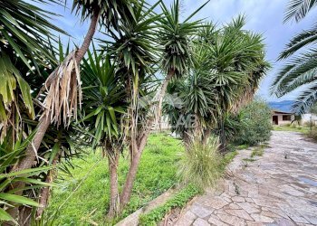 Foto 4 - Terreno agricolo Via Ponticelli
 
snc, Carini - foto 4