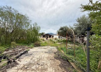 Foto 5 - Terreno agricolo Via Ponticelli
 
snc, Carini - foto 5