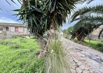 Foto 16 - Terreno agricolo Via Ponticelli
 
snc, Carini - foto 16