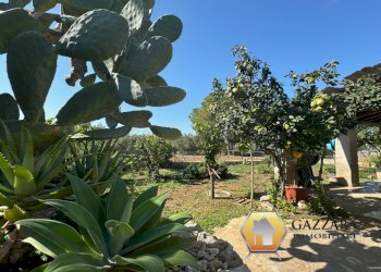 Foto 9 - Rustico contrada Tradituso
 
snc, Noto - foto 9