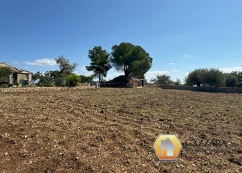 Foto 55 - Rustico contrada Tradituso
 
snc, Noto - foto 55