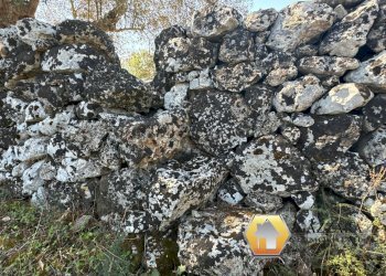 Foto 58 - Rustico contrada Tradituso
 
snc, Noto - foto 58