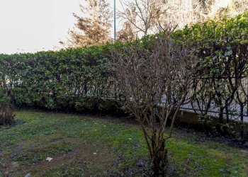Giardino - Bilocale strada Rubattera, 25, Castiglione Torinese - foto 27
